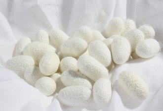 蚕丝被与蚕丝制品的清洗与保养指南